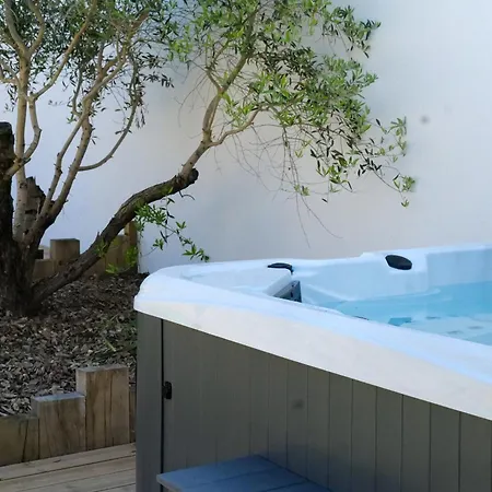 Tres Jolie Maison - Piscine & Jacuzzi - - 9 Personnes *